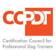 CCPDT logo on a website header for Jumpstart Puppies, featuring the English Labrador Service Dogs in Florida page